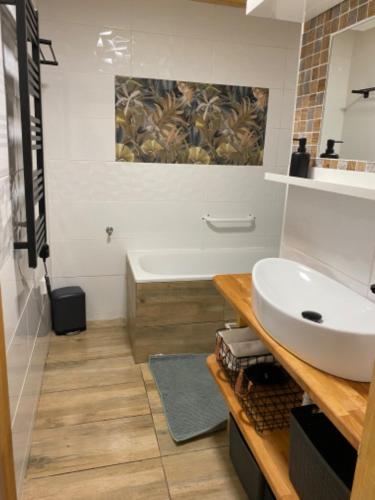 Pura Vida in Zajeci Pura Vida in Zajeci