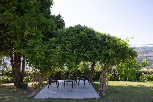 Quinta da Graca- Complexo Turistico in เรเซนเด Quinta da Graca- Complexo Turistico in เรเซนเด