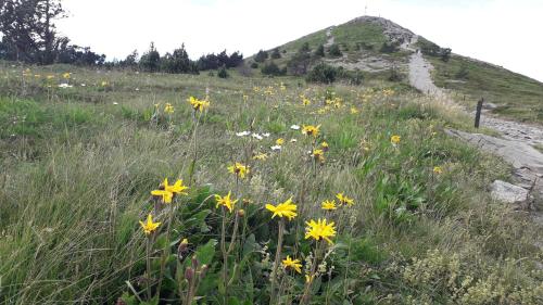 La pause in Saint-Agreve La pause in Saint-Agreve