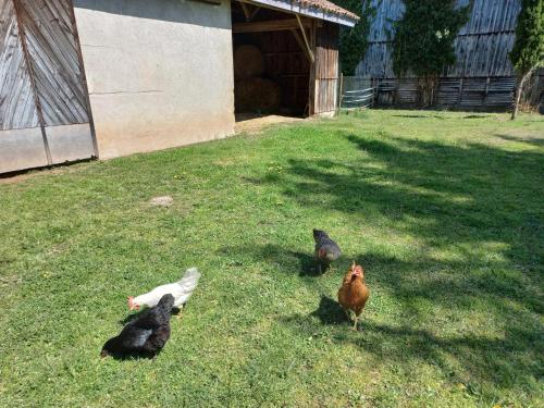 L' Embellie sur Lot in Sainte-Livrade-sur-Lot L' Embellie sur Lot in Sainte-Livrade-sur-Lot