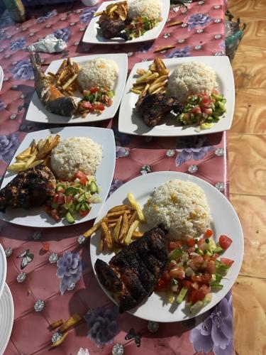 Musa Camp in الواجهة البحرية لنويبع Musa Camp in الواجهة البحرية لنويبع