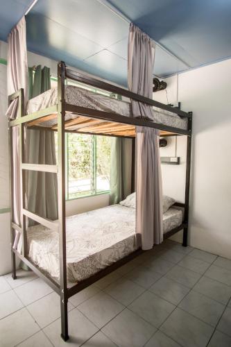 Pura Vibra Hostel in La Fortuna Pura Vibra Hostel in La Fortuna