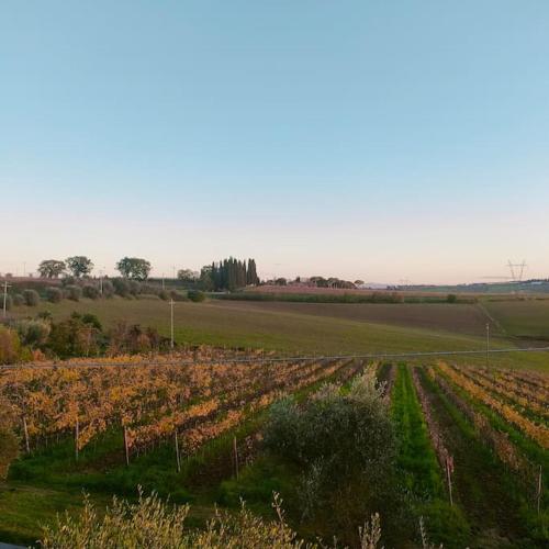 Villa vista vigneto in Centoia Villa vista vigneto in Centoia
