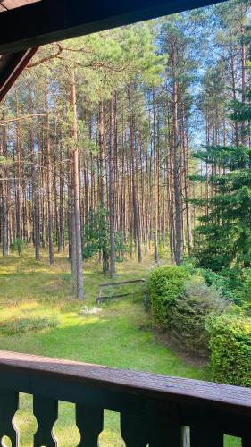 A környék, Domek Leśny Reset (Domek Lesny Reset) in Studzienice A környék, Domek Leśny Reset (Domek Lesny Reset) in Studzienice