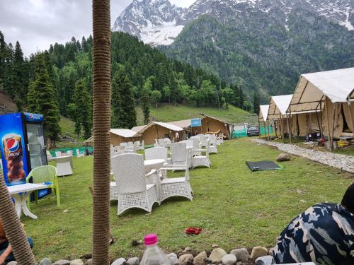Golden MEDOWS CAMPING in Sonmarg Golden MEDOWS CAMPING in Sonmarg