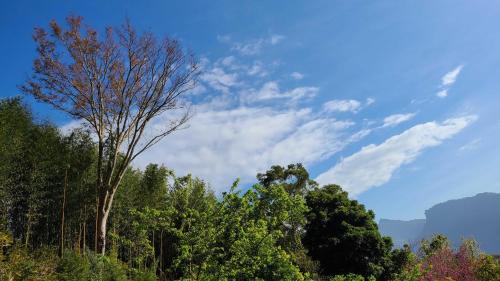 Bližnja okolica, 山林間 - 露營 旅居 Camping & BNB in forests 需先匯款完成預訂 in Okrožje Taian Bližnja okolica, 山林間 - 露營 旅居 Camping & BNB in forests 需先匯款完成預訂 in Okrožje Taian