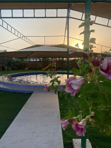 Luxury Farm 2 with Swimming Pool in Al Bahya Luxury Farm 2 with Swimming Pool in Al Bahya