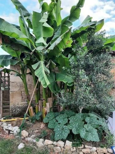 Kert, Le Fournil de Payré (Le Fournil de Payre) in Saint-Hilaire-des-Loges Kert, Le Fournil de Payré (Le Fournil de Payre) in Saint-Hilaire-des-Loges