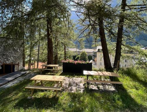 Garden, Haus LINARIA, Center in Leukerbad Garden, Haus LINARIA, Center in Leukerbad
