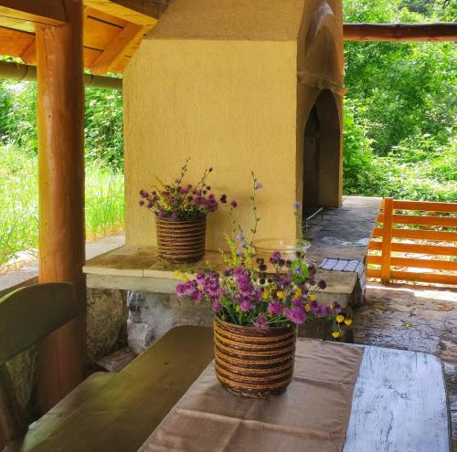 Mountain Pearl Velebit in Baške Oštarije Mountain Pearl Velebit in Baške Oštarije