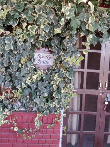 Himvadi Resorts Kausani in Kauszani Himvadi Resorts Kausani in Kauszani