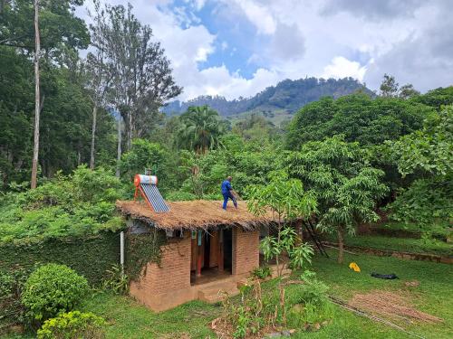 Jardín, Blend Lodge and Kitchen - Pakachere in Zomba Jardín, Blend Lodge and Kitchen - Pakachere in Zomba