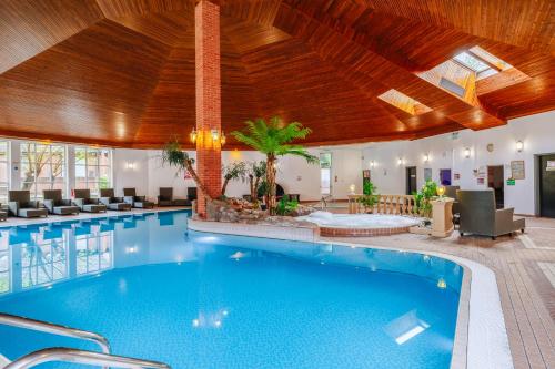 مسبح, فندق موثو بيلستيد بروك (Muthu Belstead Brook Hotel) in ايبسويتش مسبح, فندق موثو بيلستيد بروك (Muthu Belstead Brook Hotel) in ايبسويتش