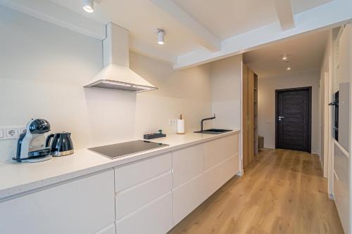 Køkken, Modern Loft Apartment with free parking No 1 in Marijampole Køkken, Modern Loft Apartment with free parking No 1 in Marijampole