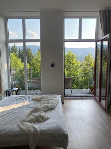 陽台/露台, Apartmán Vyhlídka Hamry (Apartman Vyhlidka Hamry) in 賀伊索華斯特亞茲 陽台/露台, Apartmán Vyhlídka Hamry (Apartman Vyhlidka Hamry) in 賀伊索華斯特亞茲