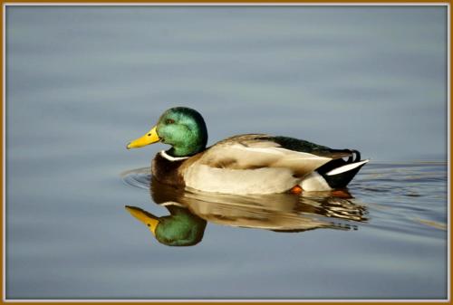 This photo about Camping Bayona Playa shared on HyHotel.com