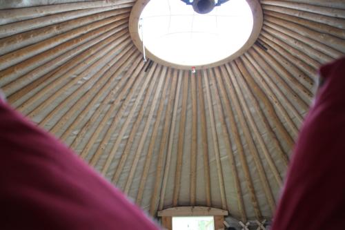 Kirgisische Jurte der Hofmuhle Pfaffroda in Pfaffroda Kirgisische Jurte der Hofmuhle Pfaffroda in Pfaffroda