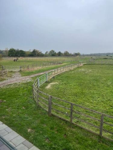 Falabella Suite with amazing views of stud farm. in Beverley Falabella Suite with amazing views of stud farm. in Beverley
