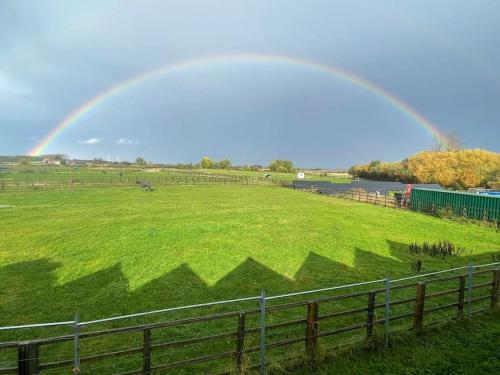 Falabella Suite with amazing views of stud farm. in Beverley Falabella Suite with amazing views of stud farm. in Beverley