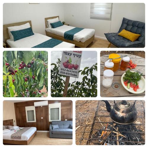 Yellow House Suite in Majdal Shams Yellow House Suite in Majdal Shams