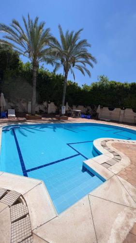Cheerful villa with pool in Alexandria (El agami) in 아가미 Cheerful villa with pool in Alexandria (El agami) in 아가미