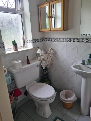 Bilik Mandi, Coreen Guest House in Tullamore Bilik Mandi, Coreen Guest House in Tullamore