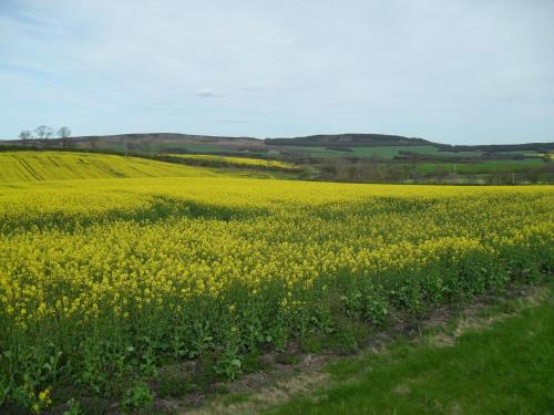 This photo about The Shepherds Hut shared on HyHotel.com