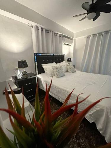Apartamentos Samantha#1 in La Romana Apartamentos Samantha#1 in La Romana