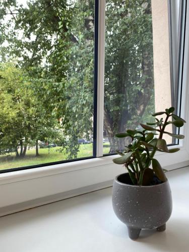 Neiroprakse Mini Hotel in Daugavpils Neiroprakse Mini Hotel in Daugavpils