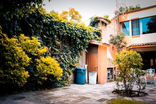 zahrada, Suites Cuija Coyoacan near Museo Casa De Leon Trotsky zahrada, Suites Cuija Coyoacan near Museo Casa De Leon Trotsky