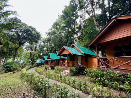 Dream Valley Resort in Ton Sai Dream Valley Resort in Ton Sai