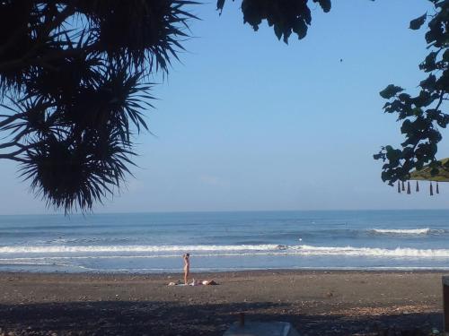 Medewi good vibes stay&surf in Negara Medewi good vibes stay&surf in Negara