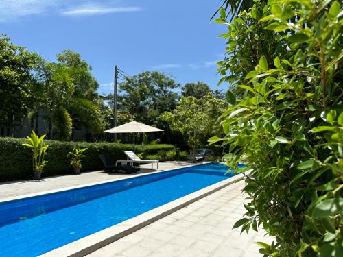 Swimming pool, The Zohan Resort And Travel Agency near Phorn Resaurantt Swimming pool, The Zohan Resort And Travel Agency near Phorn Resaurantt