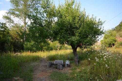 Garden, S & M Guest House in Yeghegnadzor Garden, S & M Guest House in Yeghegnadzor