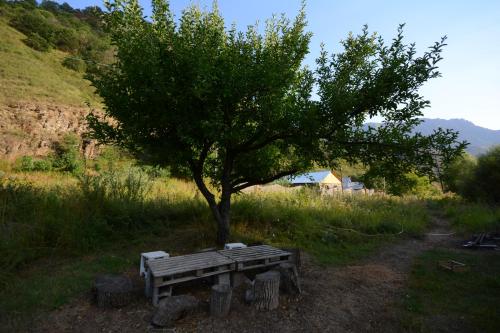 Garden, S & M Guest House in Yeghegnadzor Garden, S & M Guest House in Yeghegnadzor