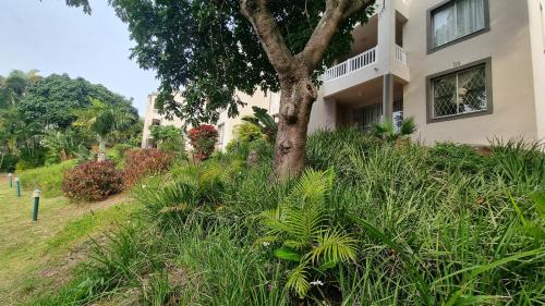 Garden, Laguna La Crete 225 in Margate North Beach Garden, Laguna La Crete 225 in Margate North Beach