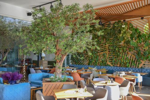 منظر, Hotel Riva in Slovenska Beach منظر, Hotel Riva in Slovenska Beach