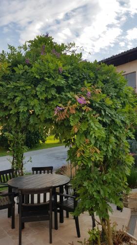 Erkély/terasz, Ferienwohnung mit Pool an der Apfelstraße in Puch Bei Weiz Erkély/terasz, Ferienwohnung mit Pool an der Apfelstraße in Puch Bei Weiz