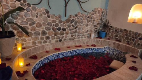 Finca San Alejandro in 哥塔卡奇 Finca San Alejandro in 哥塔卡奇