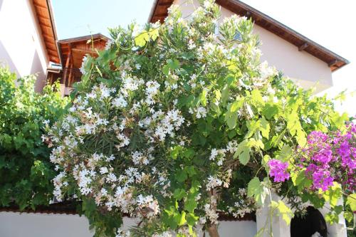 This photo about Turtle Beach Bungalows shared on HyHotel.com