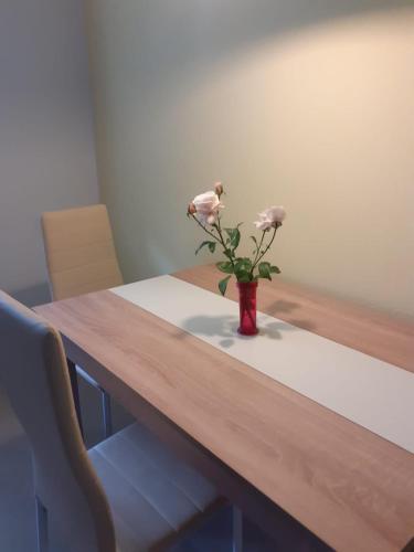 Ferienwohnung am Kurpark, Gailingen