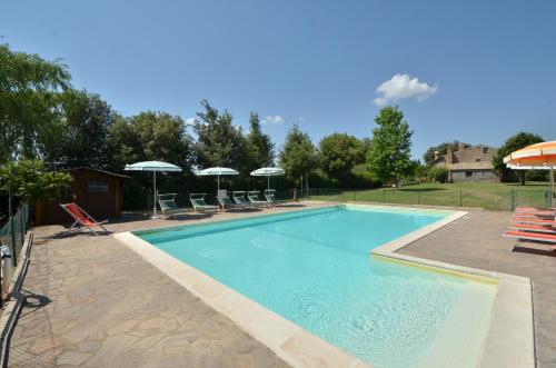 Swimming pool, Agriturismo Buriano in Lubriano Swimming pool, Agriturismo Buriano in Lubriano