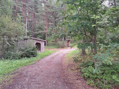 Rantamökki Naava (Rantamokki Naava) in Lampis Rantamökki Naava (Rantamokki Naava) in Lampis