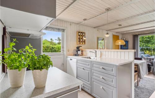 Kitchen, Amazing Home In Hemmet With Wifi in Hemmet Kitchen, Amazing Home In Hemmet With Wifi in Hemmet