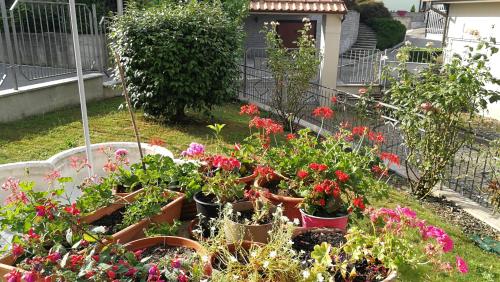Garden, Villa tra i laghi in Albiolo (Como) Garden, Villa tra i laghi in Albiolo (Como)
