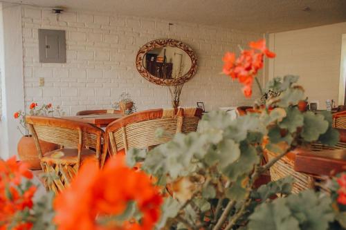 Hotel Ilebal Cuernavaca Centro - lugar con encanto! in 庫埃納瓦卡 Hotel Ilebal Cuernavaca Centro - lugar con encanto! in 庫埃納瓦卡