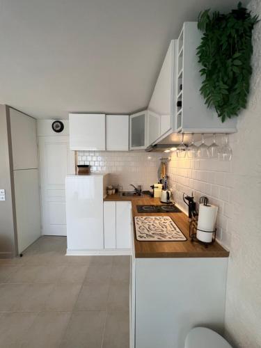 keuken, Résidence Villa Francia - Cannes in Cannes La Bocca keuken, Résidence Villa Francia - Cannes in Cannes La Bocca