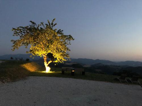 B&B Il Passo in Urbino B&B Il Passo in Urbino