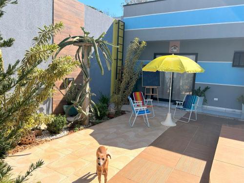 Kert, Hostel Quintal de Casa in Parque Imperatriz Kert, Hostel Quintal de Casa in Parque Imperatriz