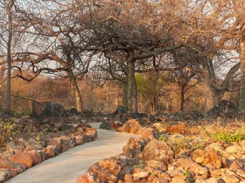 Alentours, ZuriCamp - Tent Zahir in Tsumeb Alentours, ZuriCamp - Tent Zahir in Tsumeb